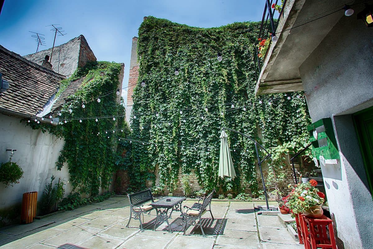 Curtea interioară pavată cu dale, mărginită de un perete acoperit pe toată înălțimea de viță sălbatică verde, cu ghirlande de becuri, o umbrelă și mobilier de fier forjat.