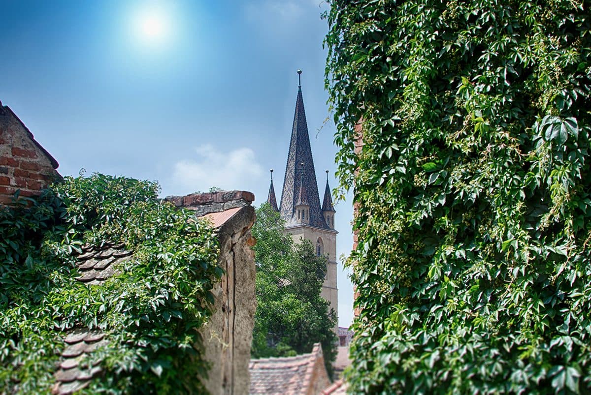 Turnul Catedralei Evanghelice din Sibiu, cu acoperișul său de olane smălțuite, văzut dintre viță sălbatică și acoperișuri vechi de țiglă.